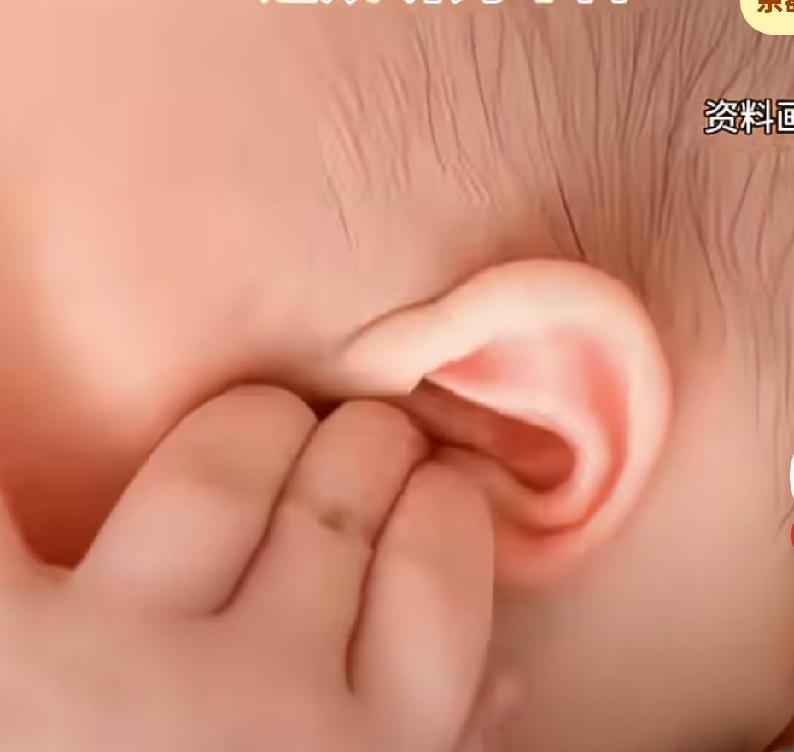 一岁幼童不哭闹，不发热，
频繁抓挠耳朵，
家长发现孩子耳朵口处有干扁种子，担心耳