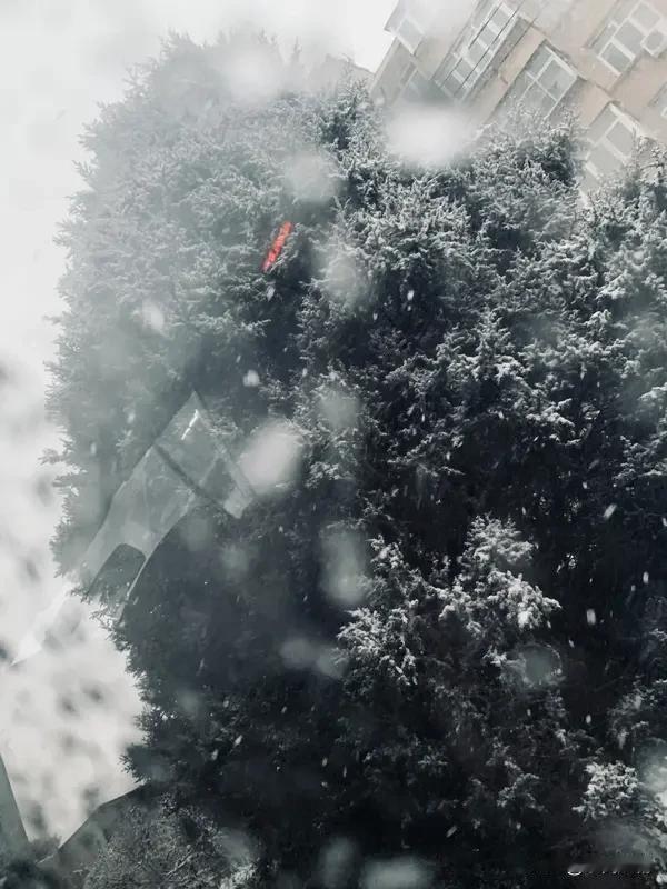 你生活的地方,每年会下雪吗? 你生活的地方,每年会下雪吗? 我身处江苏镇江，今年