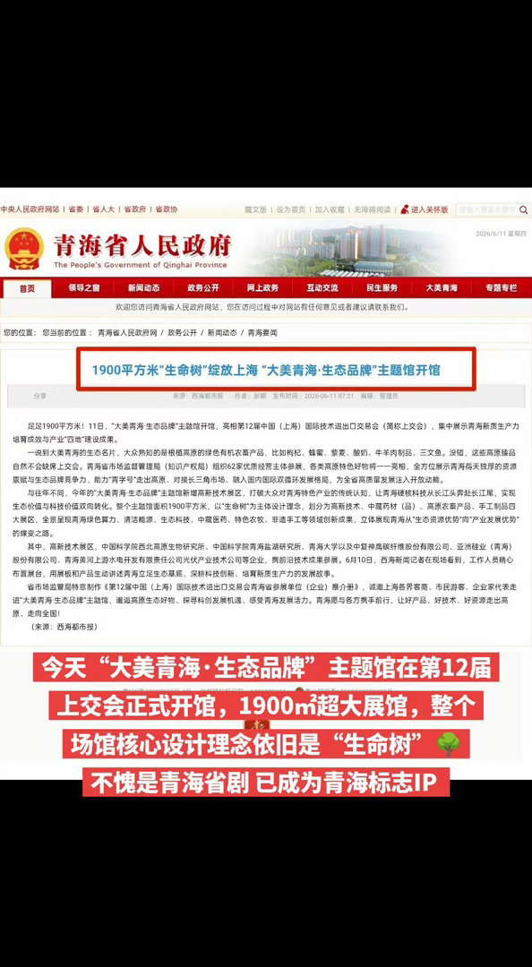 《生命树》现在才正式进入宣发期，不愧是省剧，1900平方米“生命树”绽放上海！！
