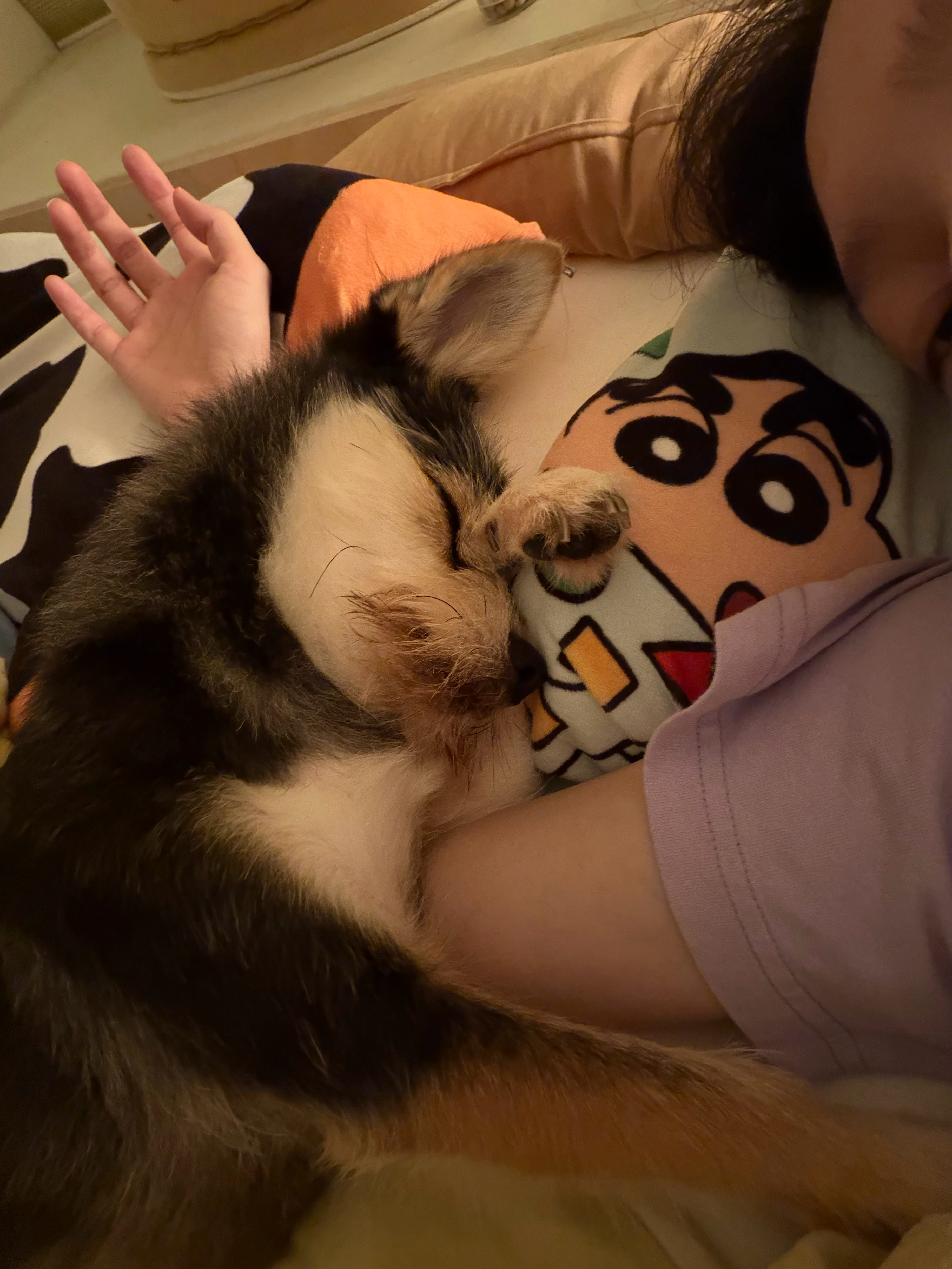保持可爱☺️ 