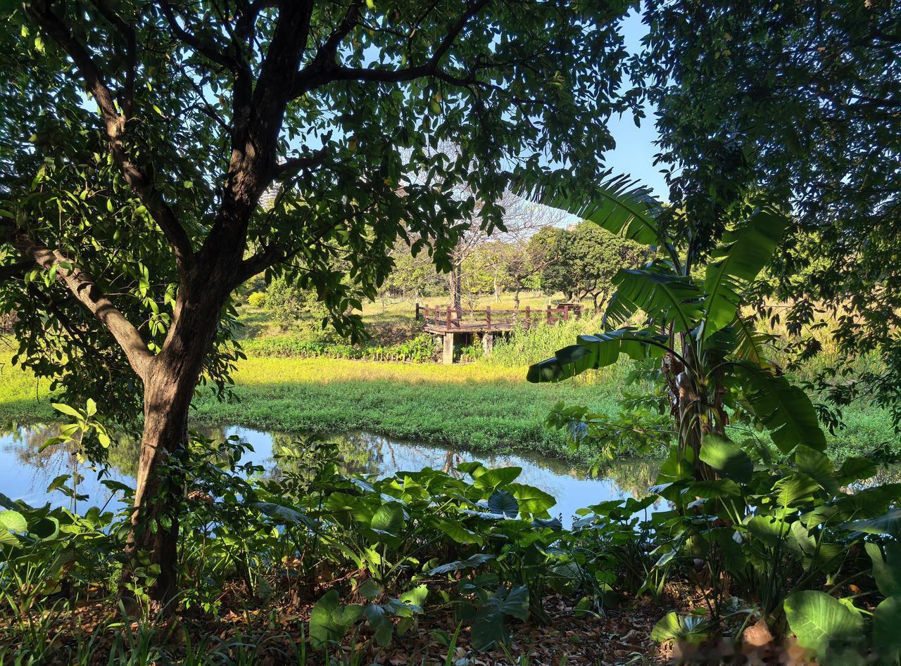 思想殖民浅议（93）

       接上期。
       第二，拿破仑征服埃