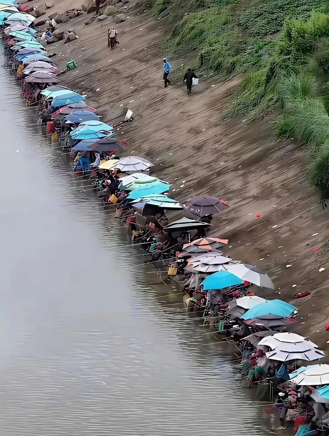 有钱有闲的人太多了……[黑脸]
