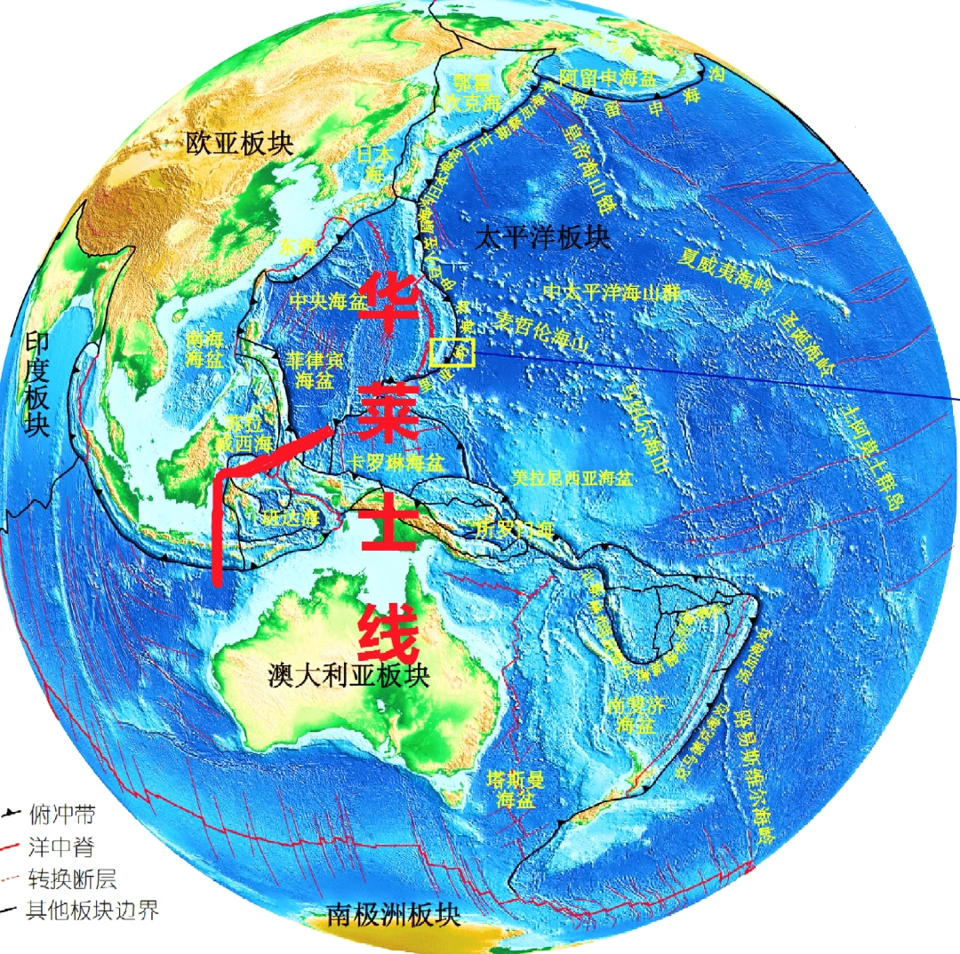 华莱士线是动物的“三八线”