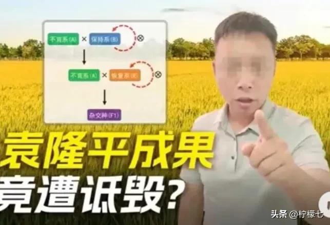大快人心‼️造谣“吃杂交水稻断子绝孙”的200万粉网红被无限期封禁🔥🔥
一个
