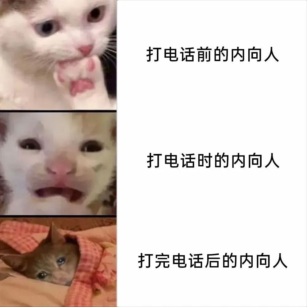 打电话之前还得做个心里建设，简直了猫meme ​​​