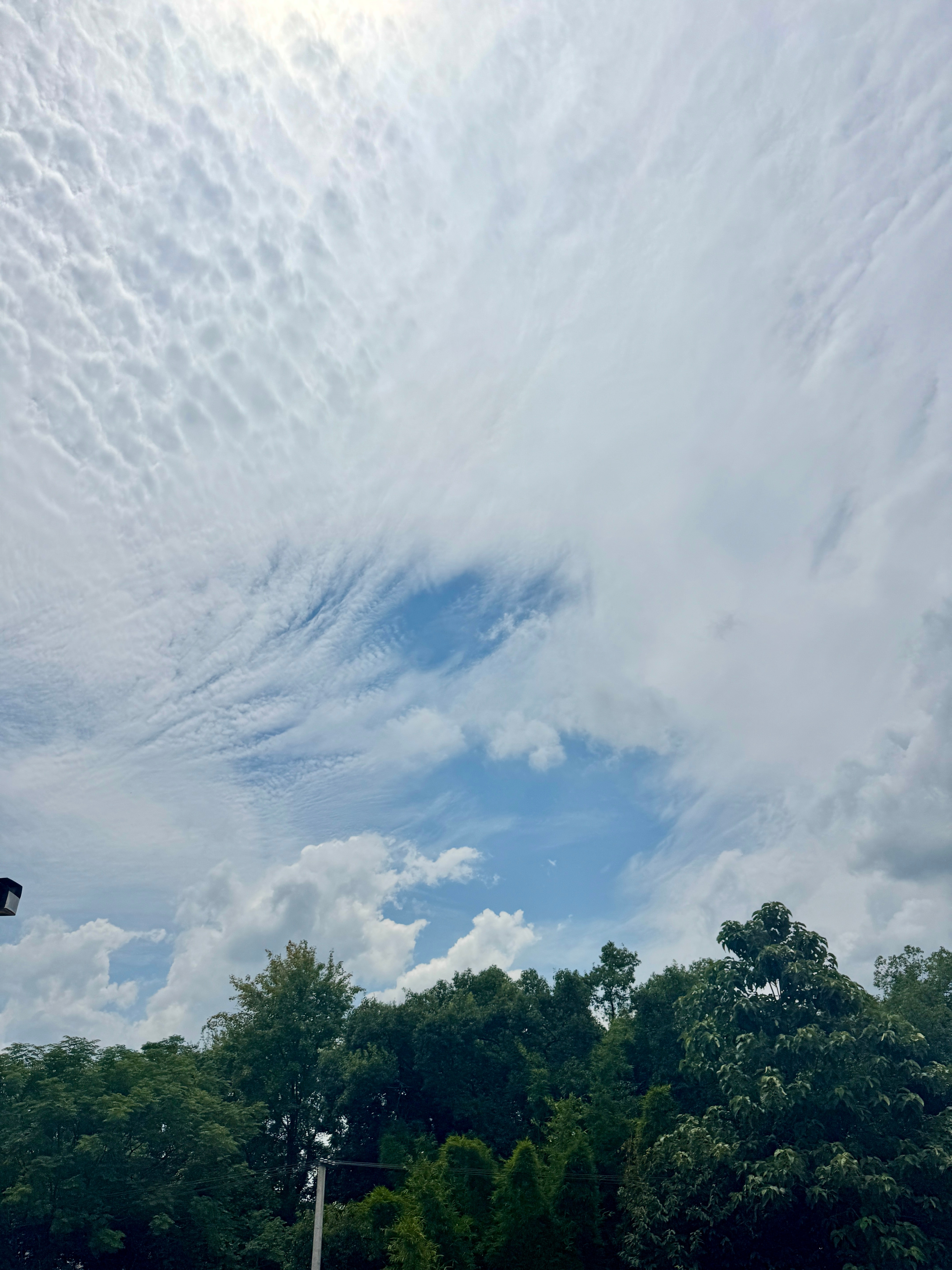 今天天气好热，幸好昨天把事办完了，不然今天会被热死，全身骨头痛，像要散架了一样，