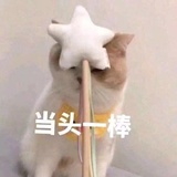 长月热玩科技