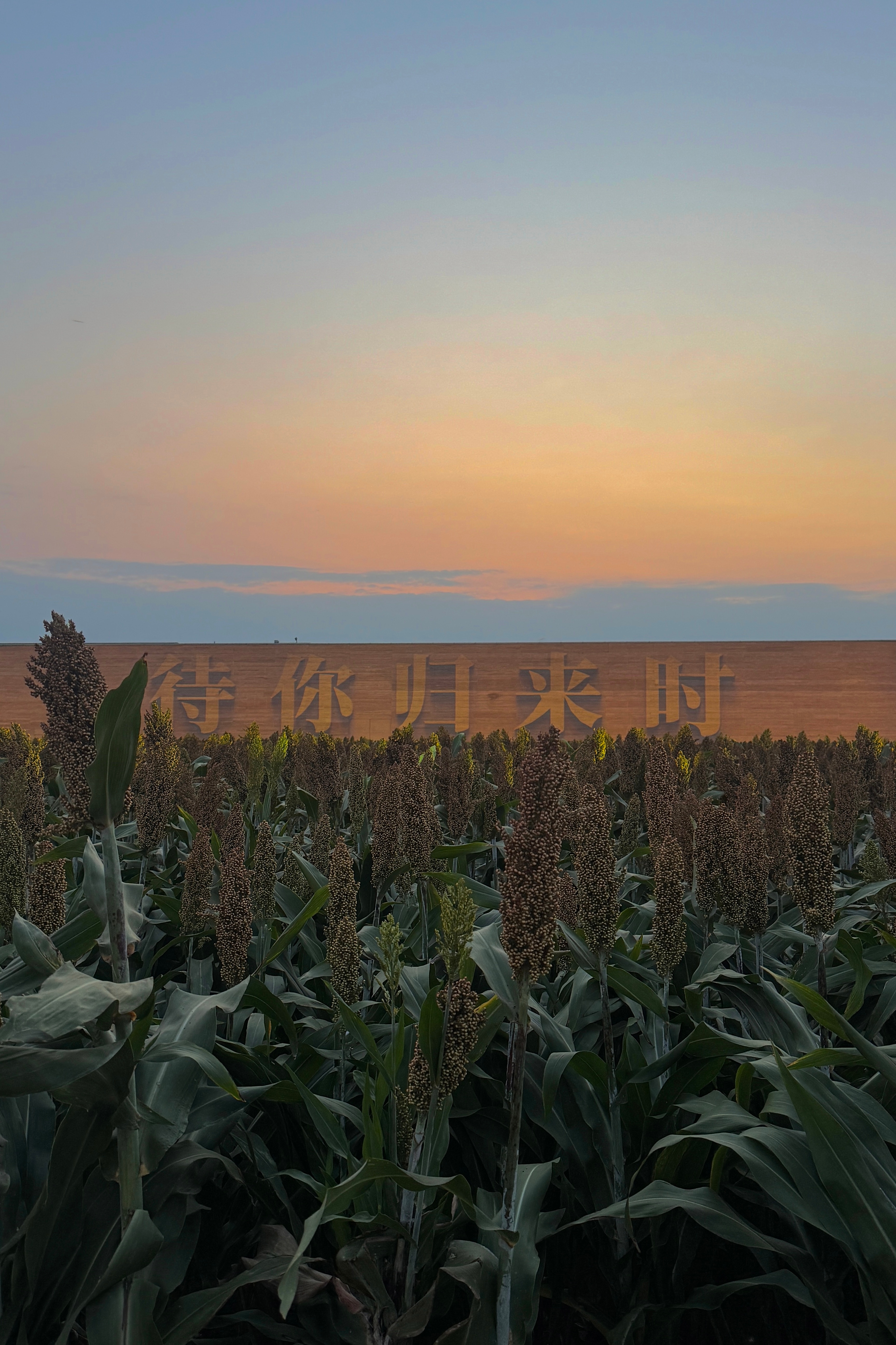 谁会不爱只有河南。 郑州·只有河南·戏剧幻城