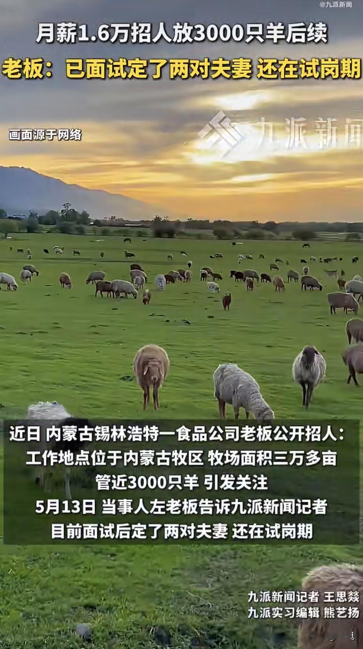 8000块一个人，管一千多只羊，全年无休，冬天零下四十度。

有人接了。

内蒙