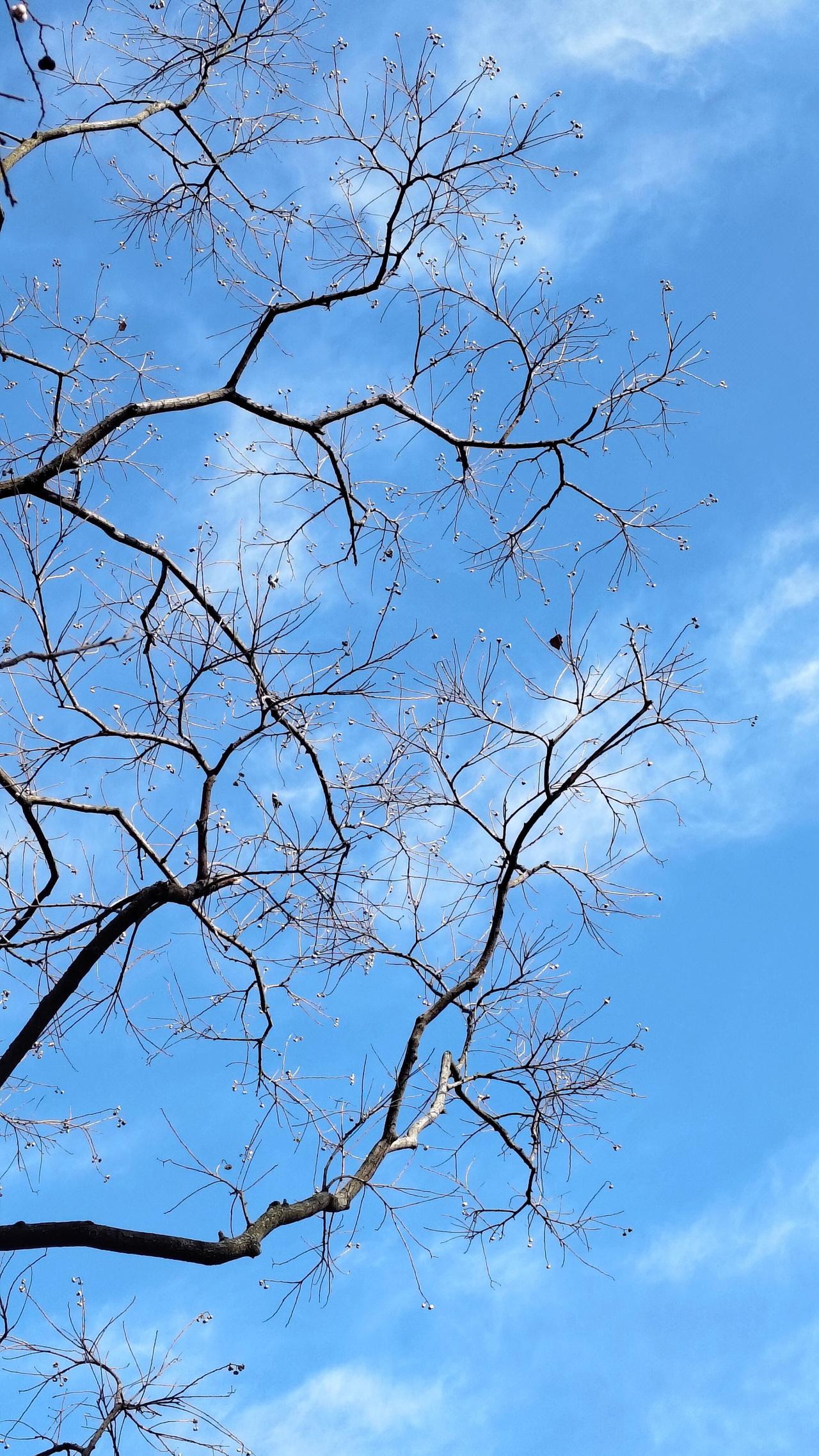 转到12月了，2025年最后一个月了。