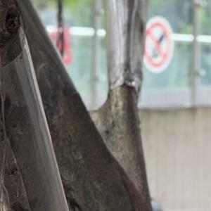 保持少年意气，永远心怀热忱。历经世事沧桑，依然选择纯粹与勇敢。不被岁月磨平棱角，