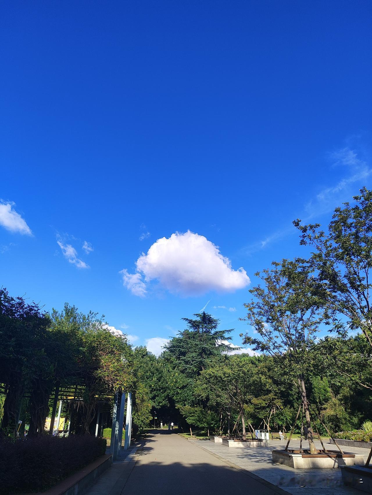 蓝天白云，云朵像个小海豚，可爱，嘿嘿，最喜欢这样的天气喽