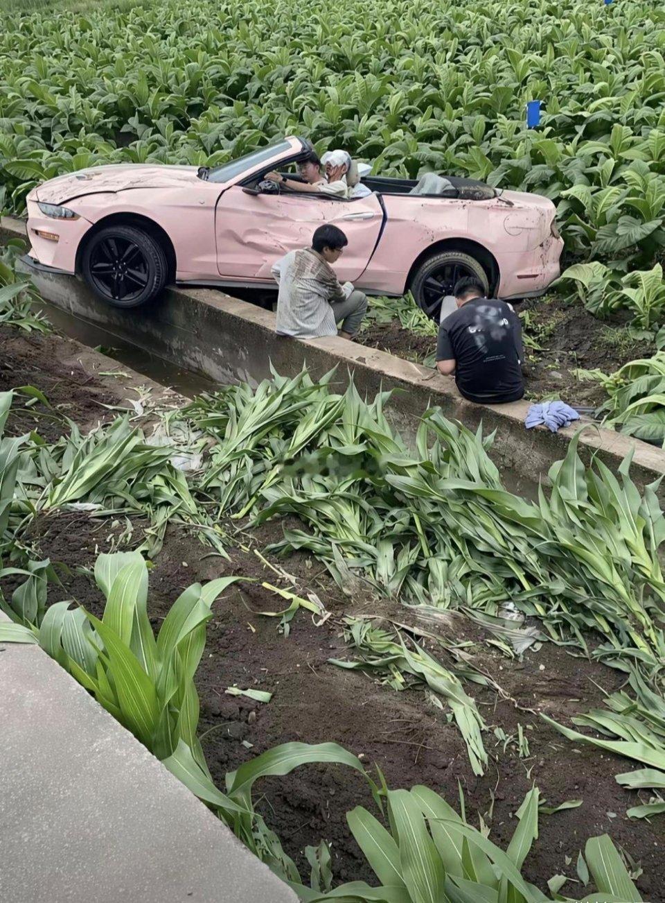 租车给他们的人真是亏麻了 这种保险肯定不管了吧 