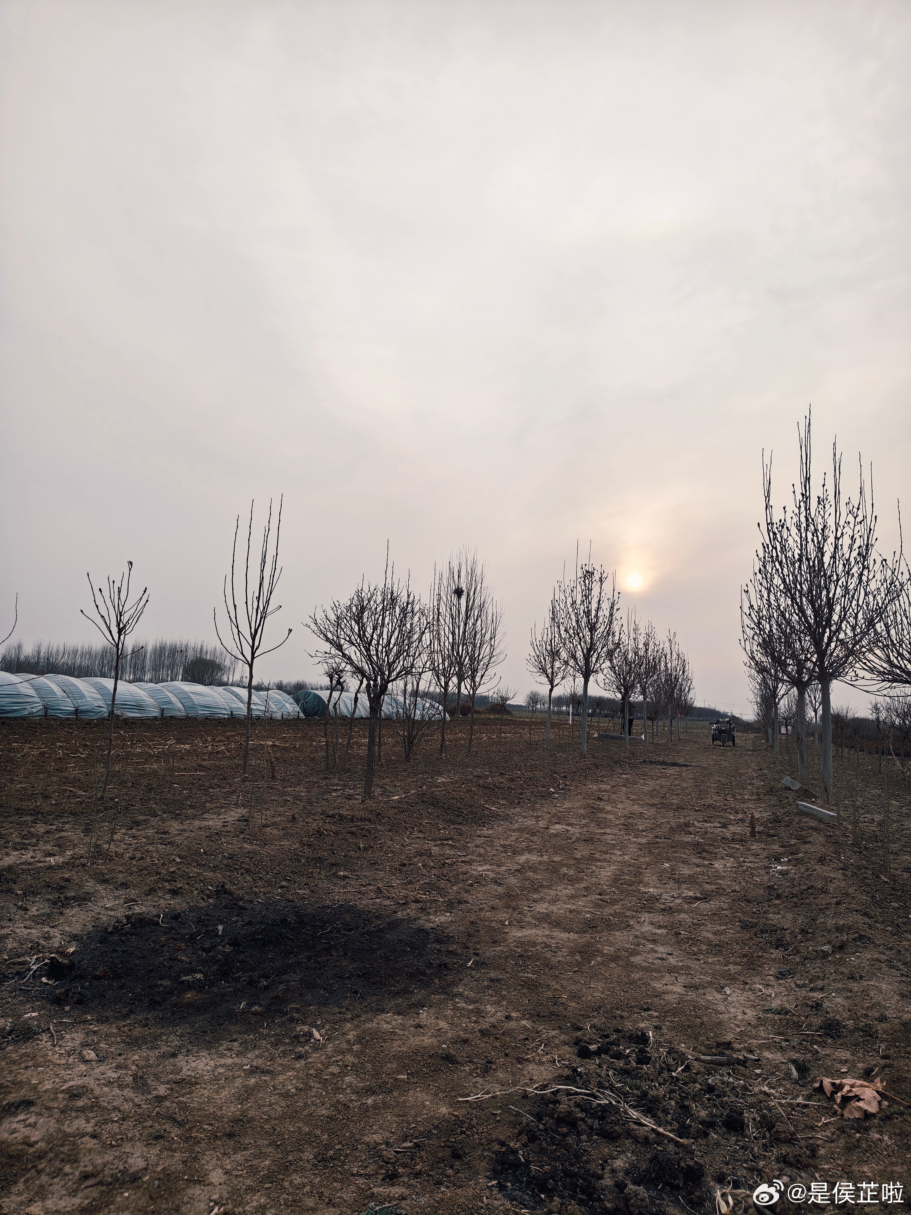 又来地里了孩子想要拉粑粑，让我接回去到了说先不拉呢先吃我拿来的苹果微博开学季亲子