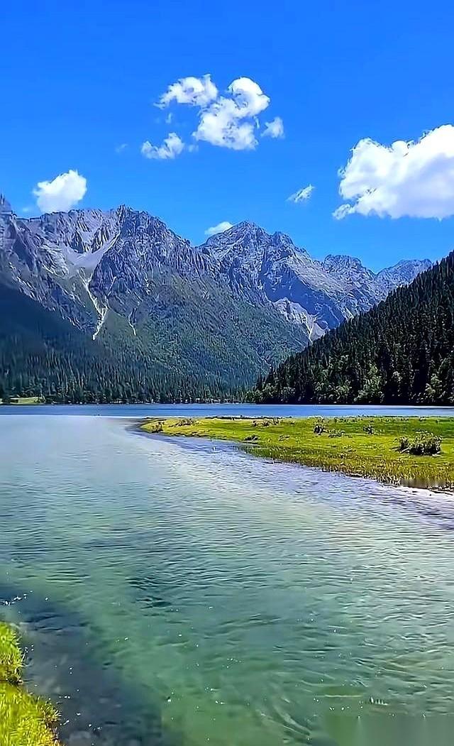 一位百岁老人的一句话，像一盆冷水，浇在很多人头上。
他说：“人老了，最好的养老，