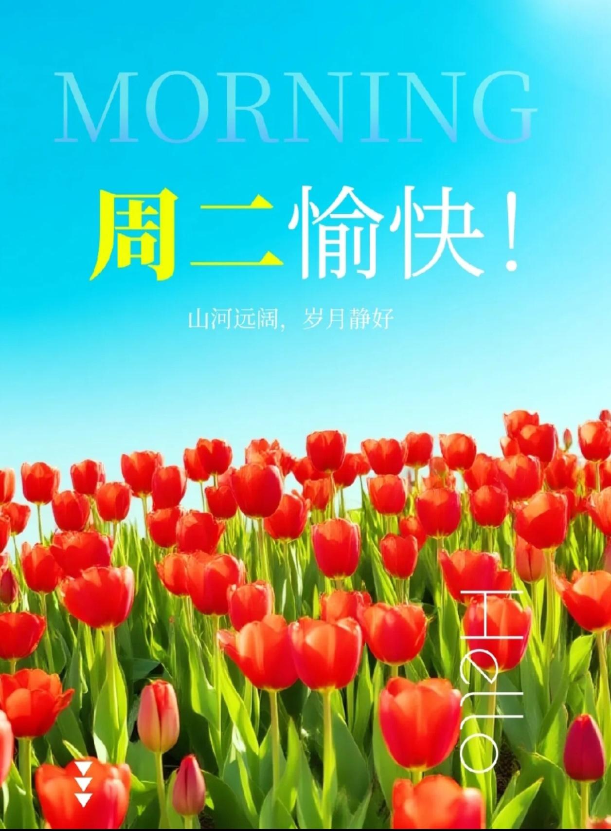 [福]2026./9月15日，周二早安，秋暖人安，枫秋寄喜[福]
 
🍁🌅秋