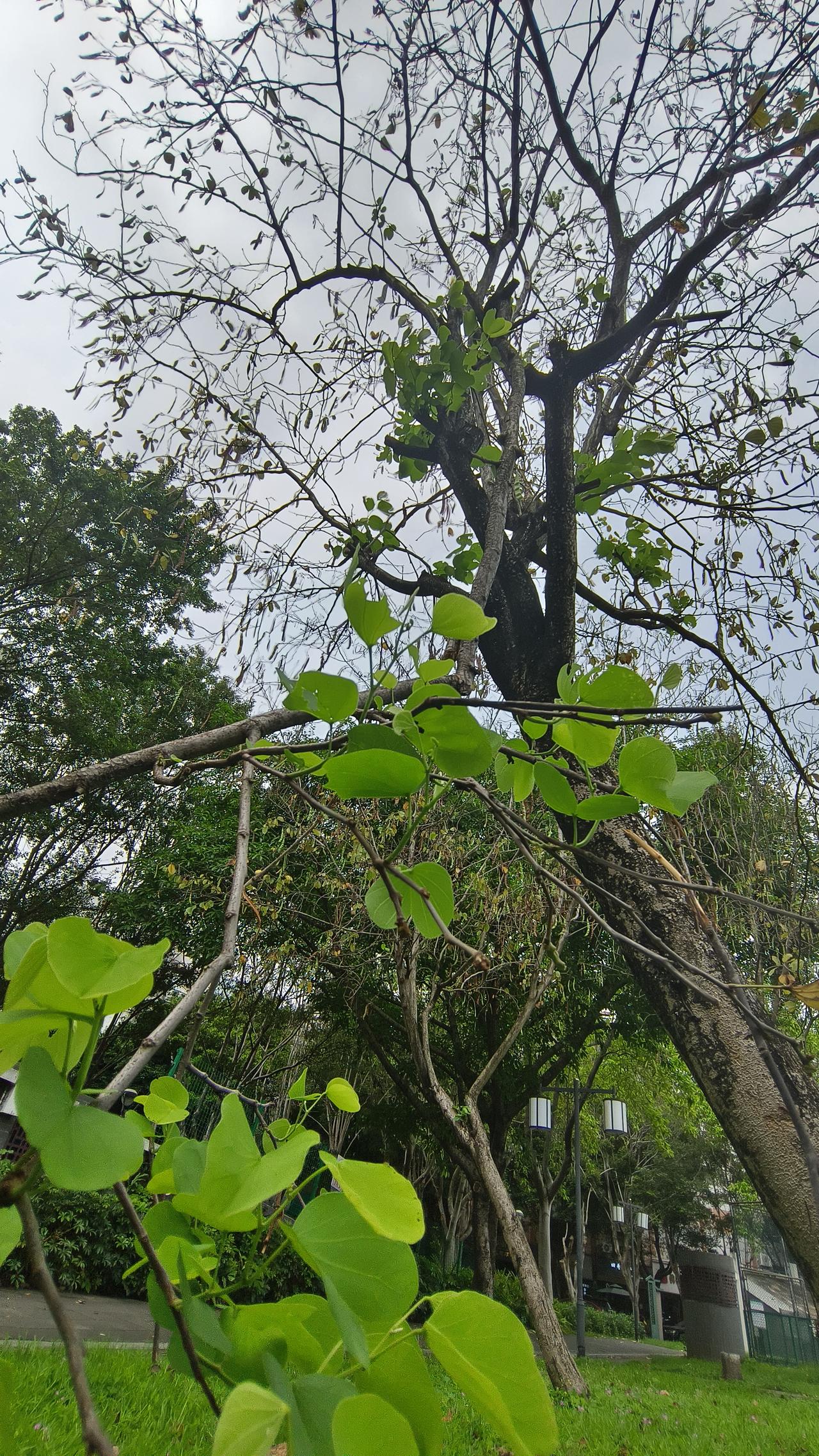 我妈问我：你到底在干什么工作？我说，我在生活。

犹记得去年年夜饭桌上，二姨夹了