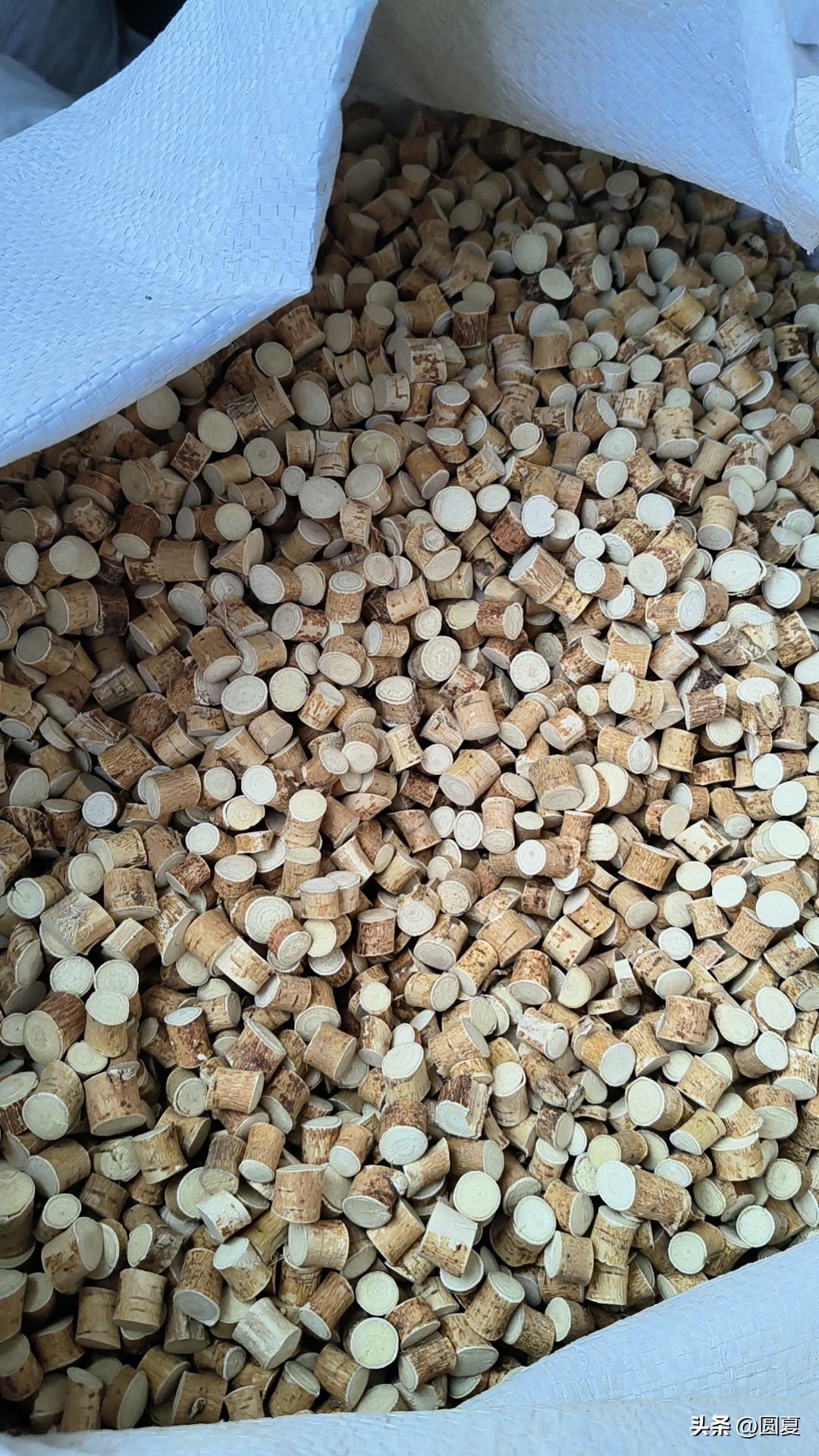 04年，今年6月份下毕业证，去面试了但是自己其实并不想上班，试着从网上找自己可以