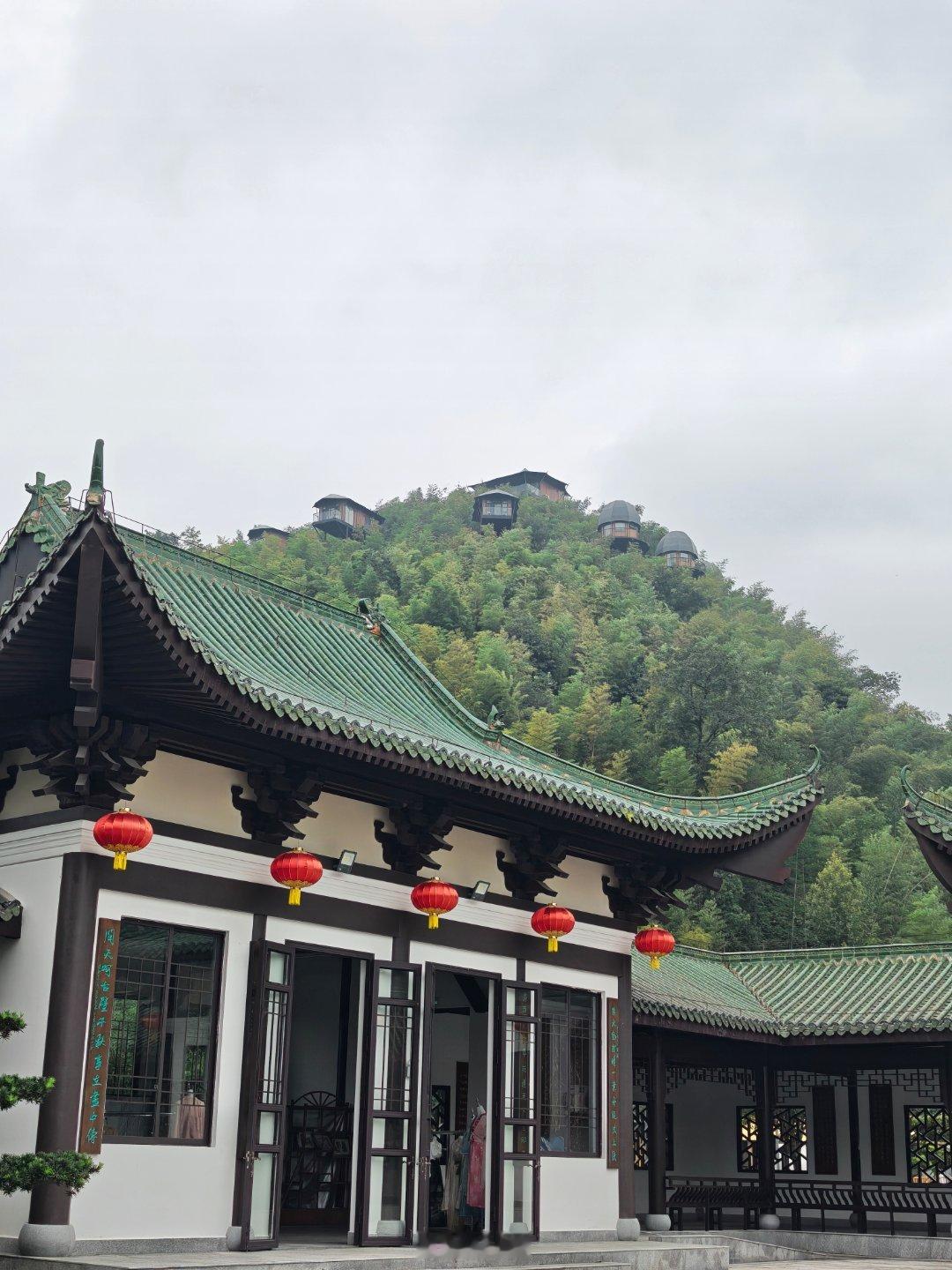 益山益水益见倾心第六届湘当自觉自信自强湘当自觉自信自强 益阳之行的最后一天，我们