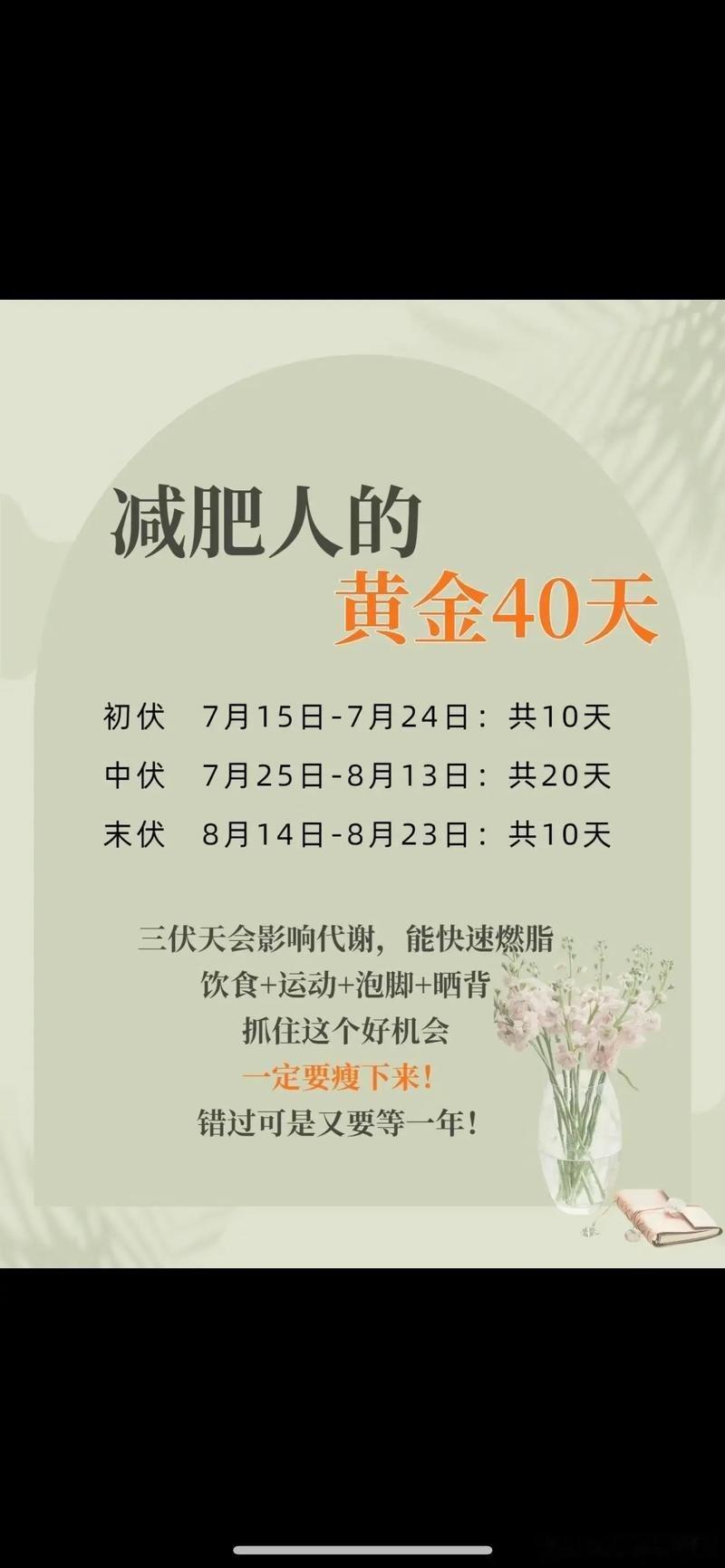 三伏天的减肥日常2026年三伏天从7月15日持续至8月23日，共40天。专家指出