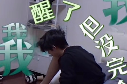 小鸟马上可以在老哼头上安家了 