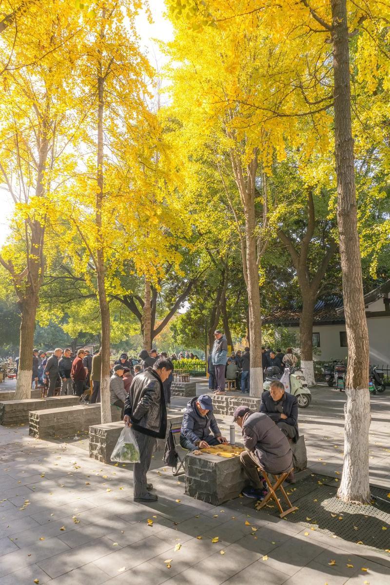 元旦放假三天，打牌三天，四个人打到医院两个人[捂脸]
  元旦三天我老公兄妹几个