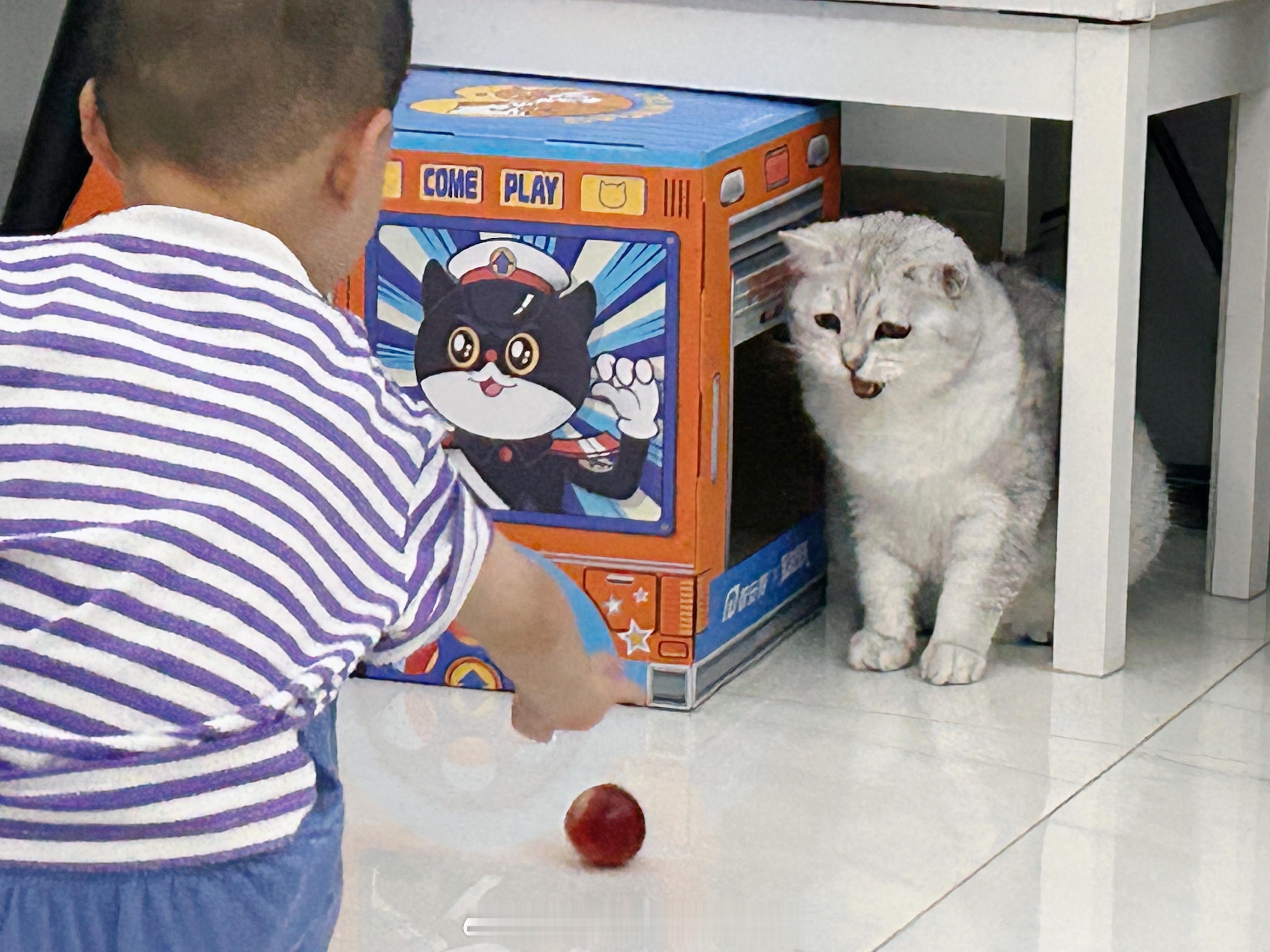 说要给年糕吃桃糕：大可不必哈😡#年糕才不要小鱼干[超话]# ​​​