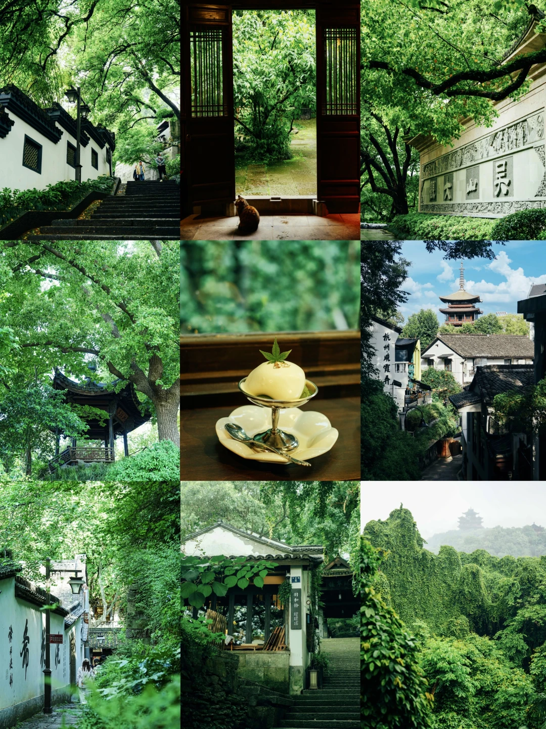 五一实拍🍃没有人挤人·杭州小众吸氧路线