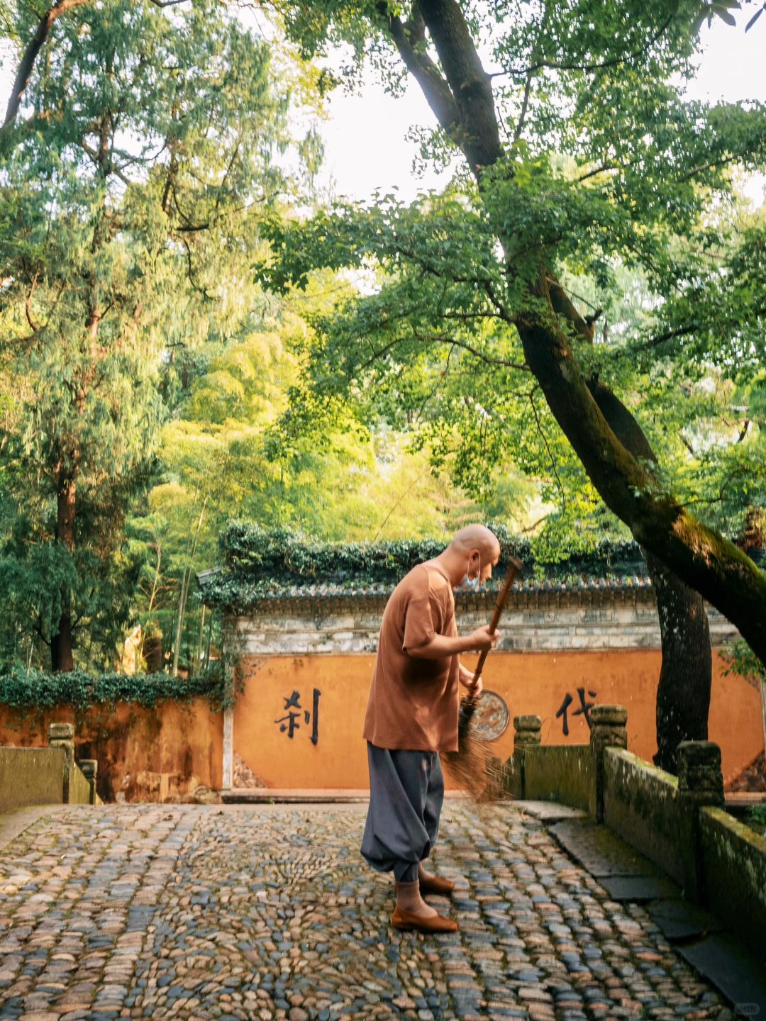 今天我生日，随机送张国清寺旁的房券🛏️