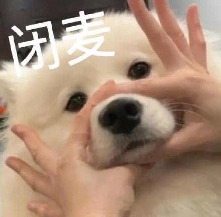 张颖颖开撕哇塞、玩的好花花啊虽然知道不是什么好🫓但是看到这些还是相当震惊啊 