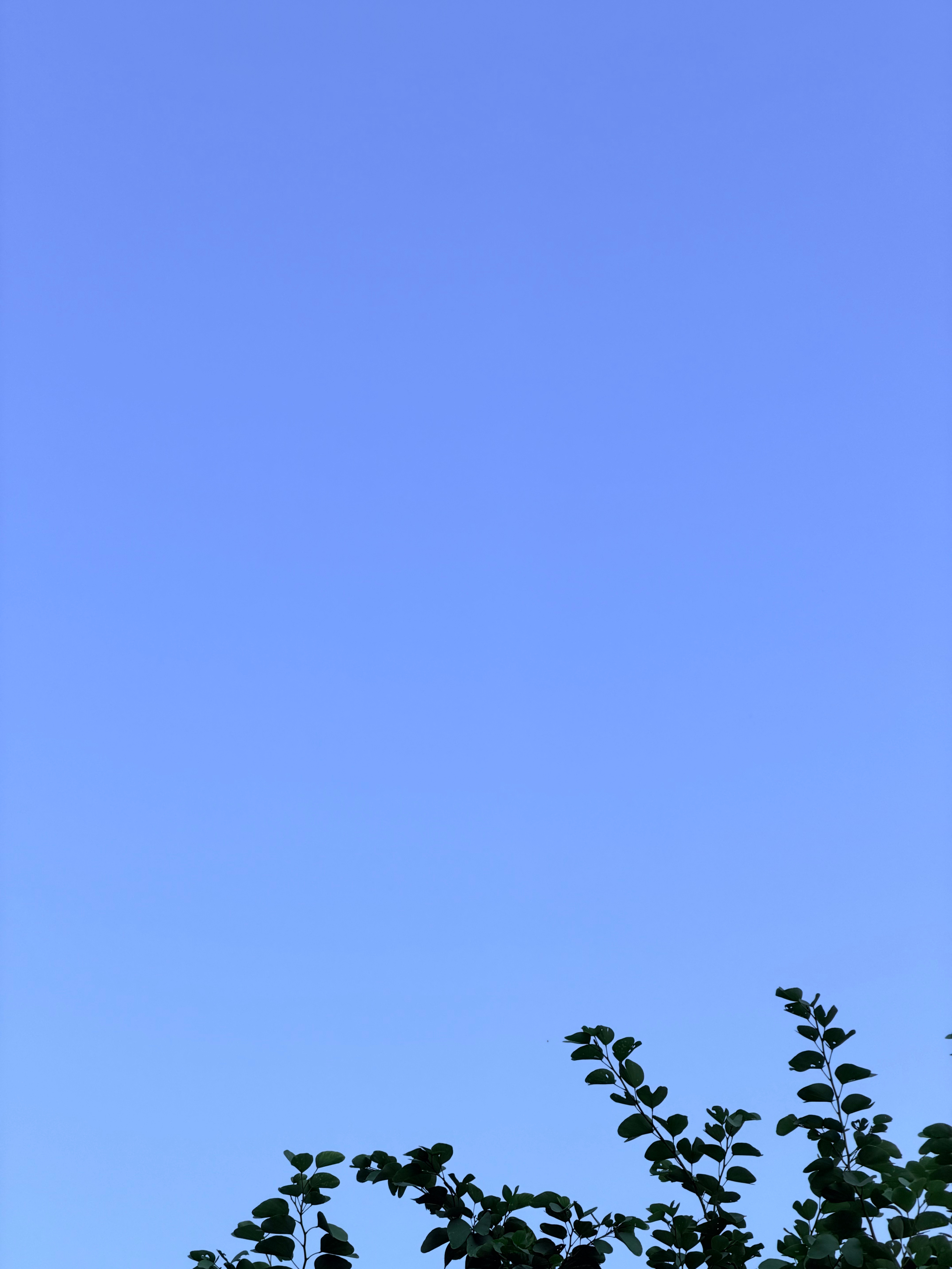 早早早[心] ​​​
