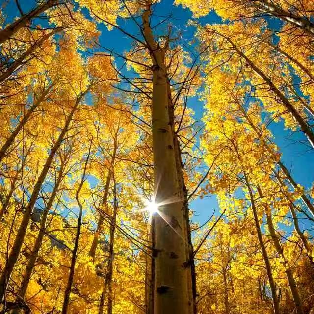 与痛风斗争的历程 53

   今日清晨，天色灰蒙蒙的，云层压得低低的，天气预报