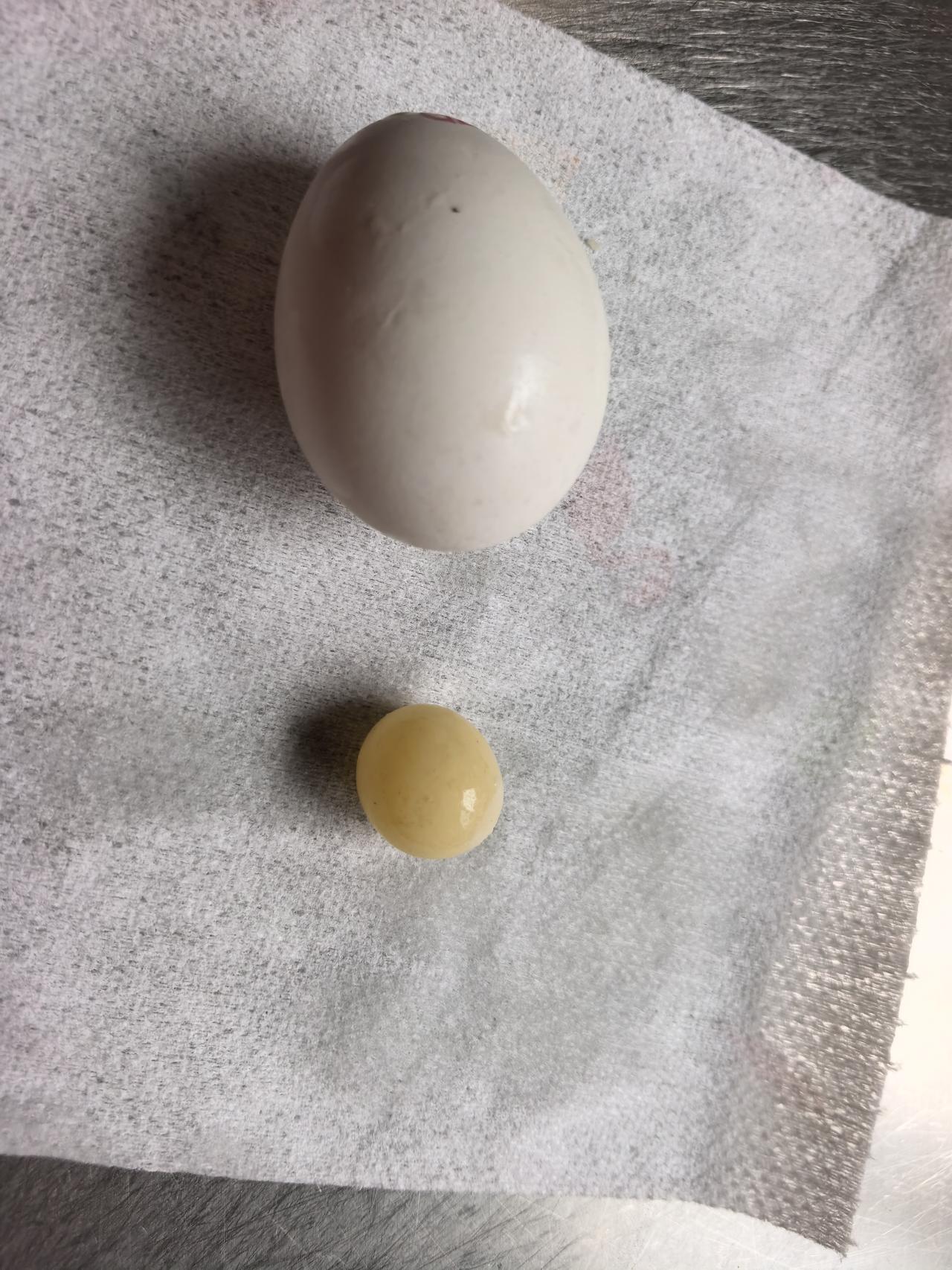 友友们关心的王八蛋后续来了，笑得肚子疼。

前几天打开抖音，看见直播间有甲鱼蛋在