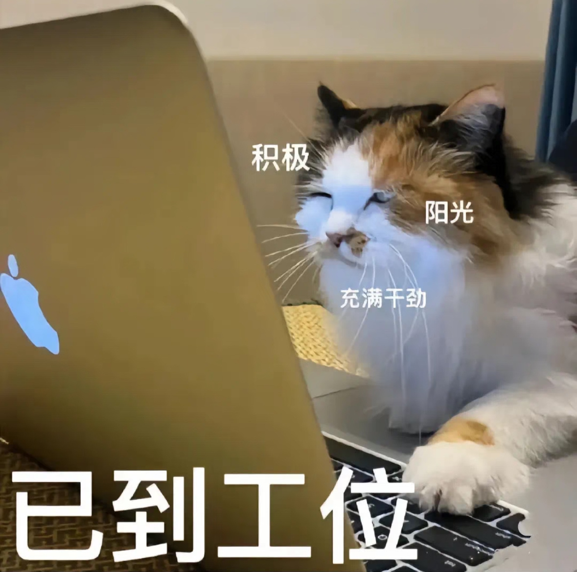 为啥都不希望微信上线已读功能？还不是微信和工作早就绑定在一起了，上班当牛马也就算