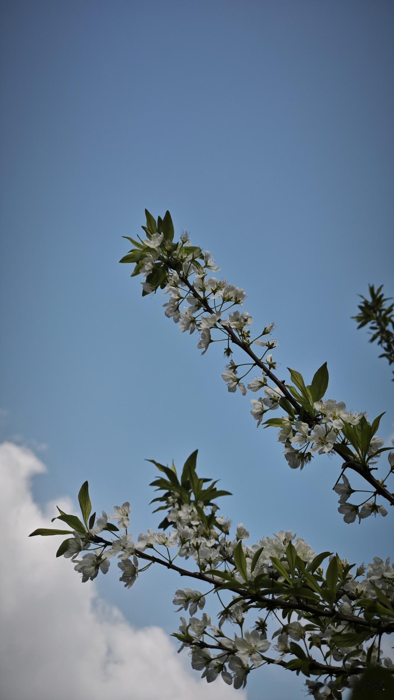 你认为什么是“真正爱自己”真正的爱自己，就是有能力让自己保持一颗平静的心。我们活