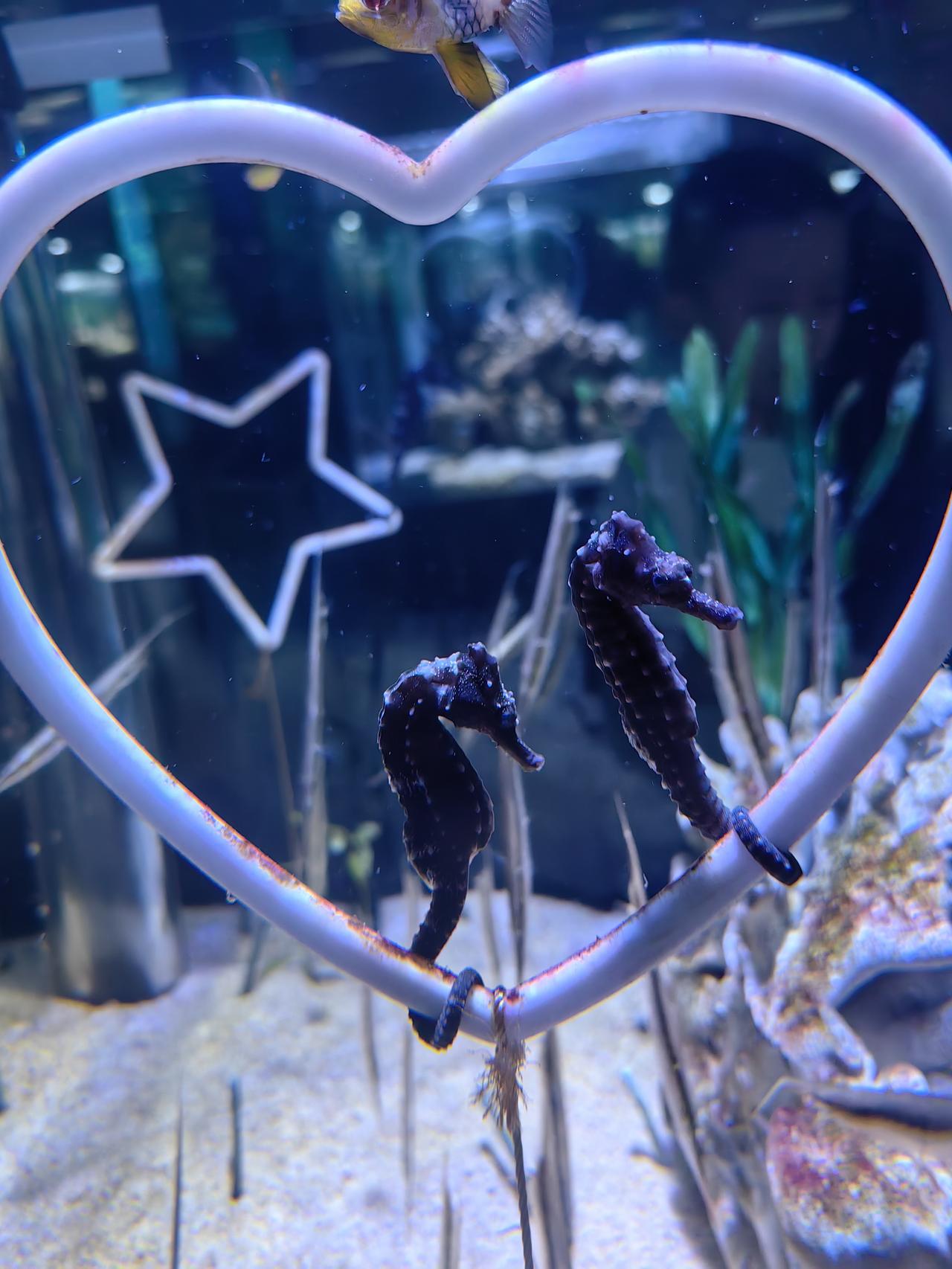 徐州水世界水族馆
2026.7.24
分享手机随手拍