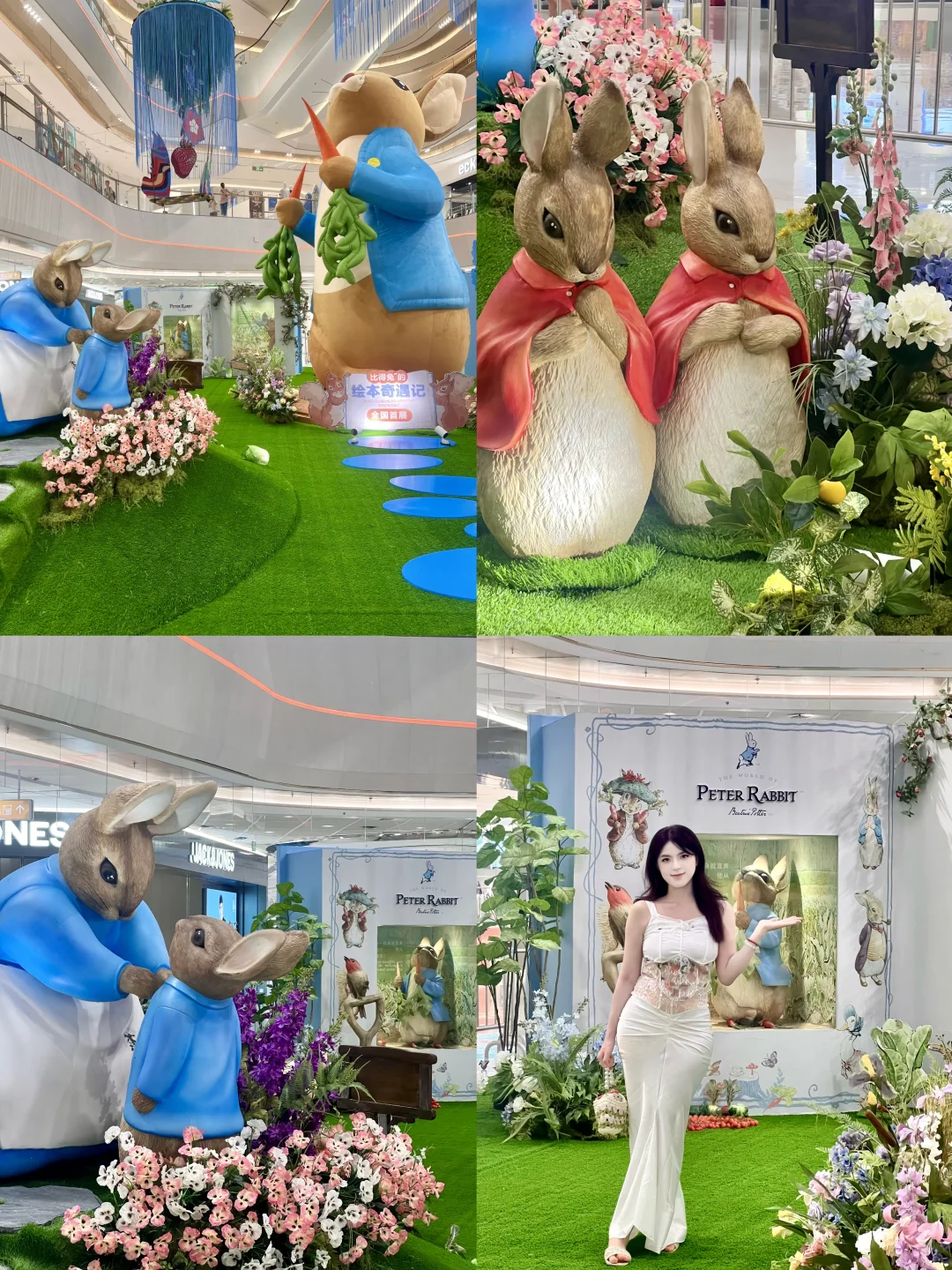 🐰深圳罗湖惊现3米高巨兔！比得兔的童话世界