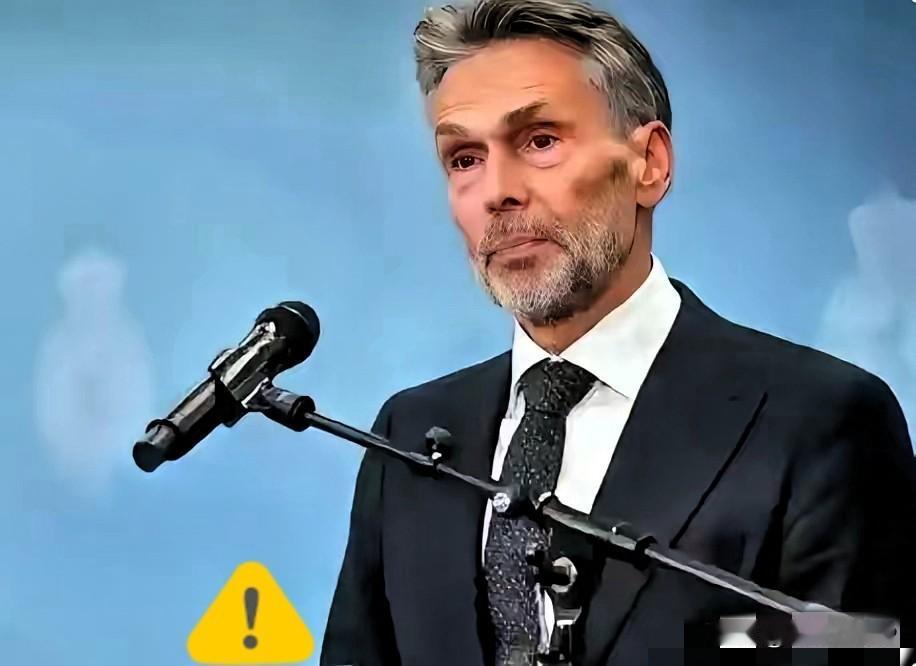 荷兰这次对中国的强硬，超出了外界想象。原本以为，随着中美协议的落地，安世荷兰和安