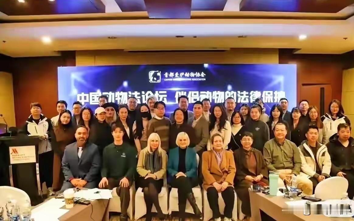 动物是伴侣？还有法律保护！
原来伴侣动物保护相关法律是由外国人主导的。一张中国动