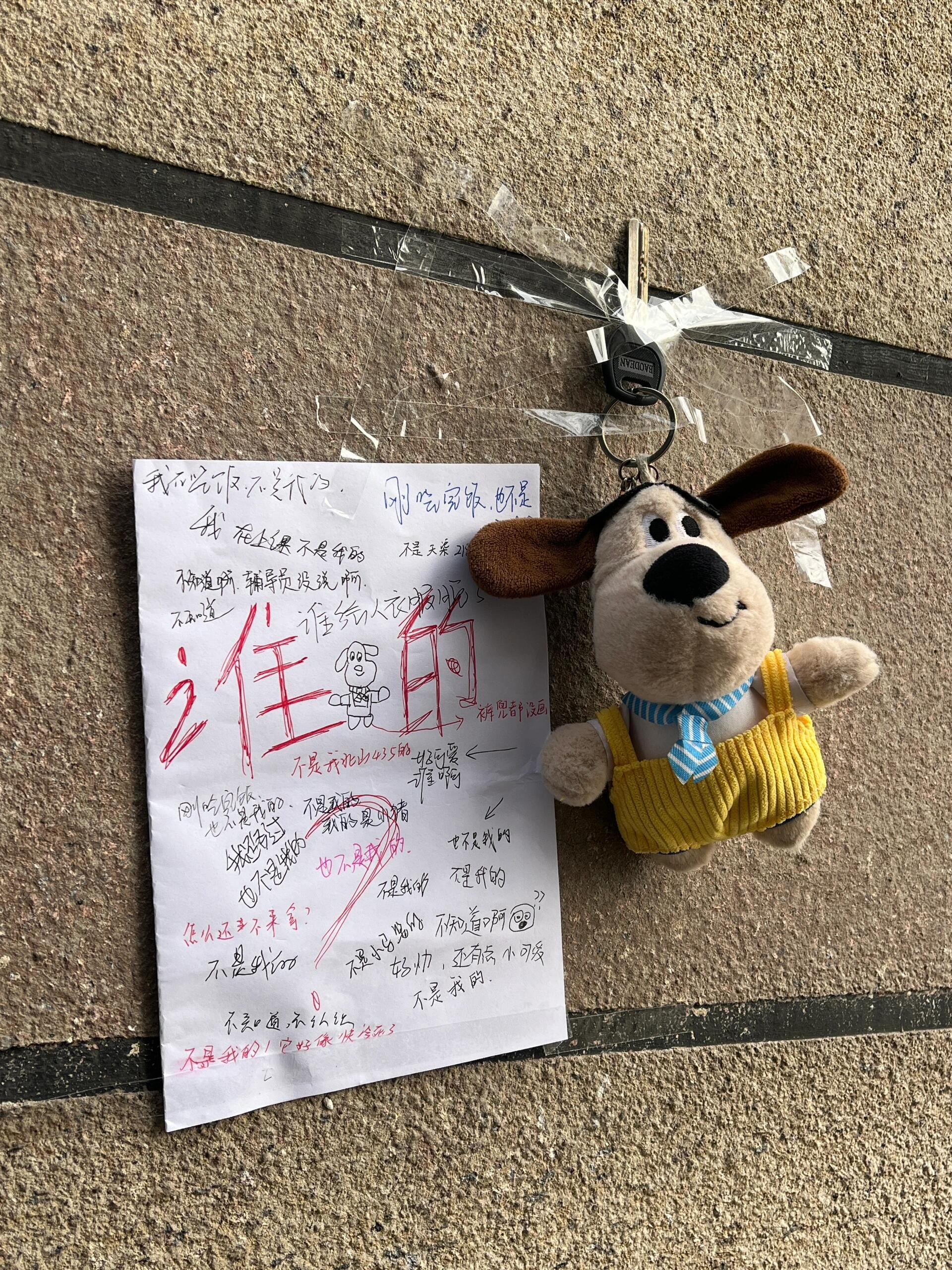 生活太有意思啦感觉遇到了一群素未谋面的网友！ ​​​