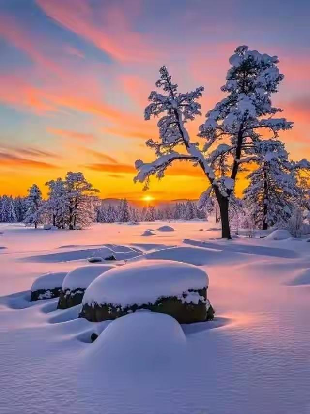 活到现在才彻底想通：人这辈子，怎么舒服怎么活就够了
年底了回头看，才发现以前总揪