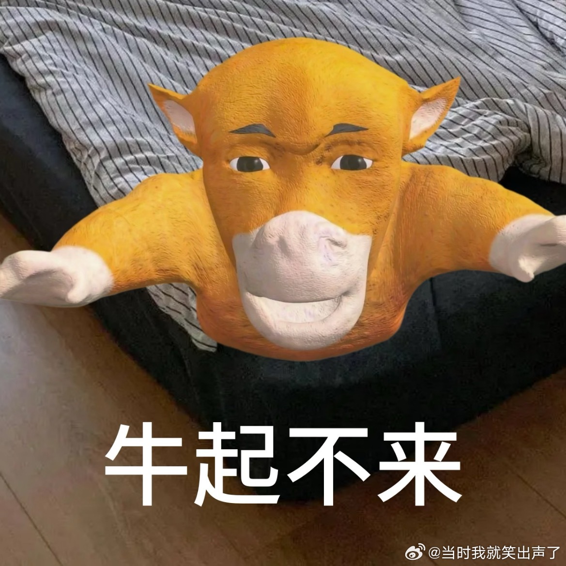 开学搭子已就位《开学第一天》如果 你有点迷茫不知道 该先迈哪只脚没关系 先迈哪只