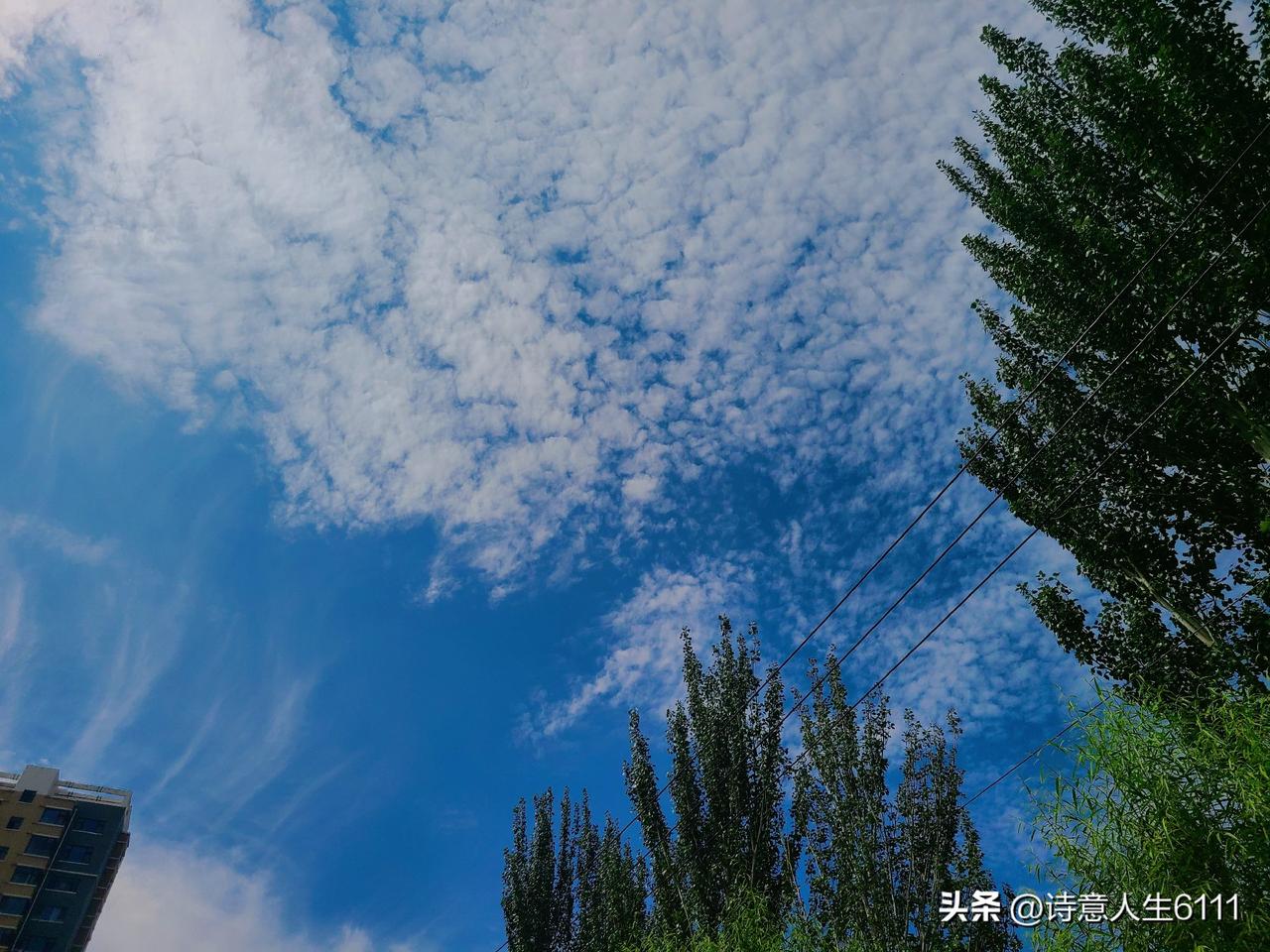 终于晴天了，恢复了往日的蓝天白云。这近一周的阴雨天，真够令人烦闷的，影响了心情不