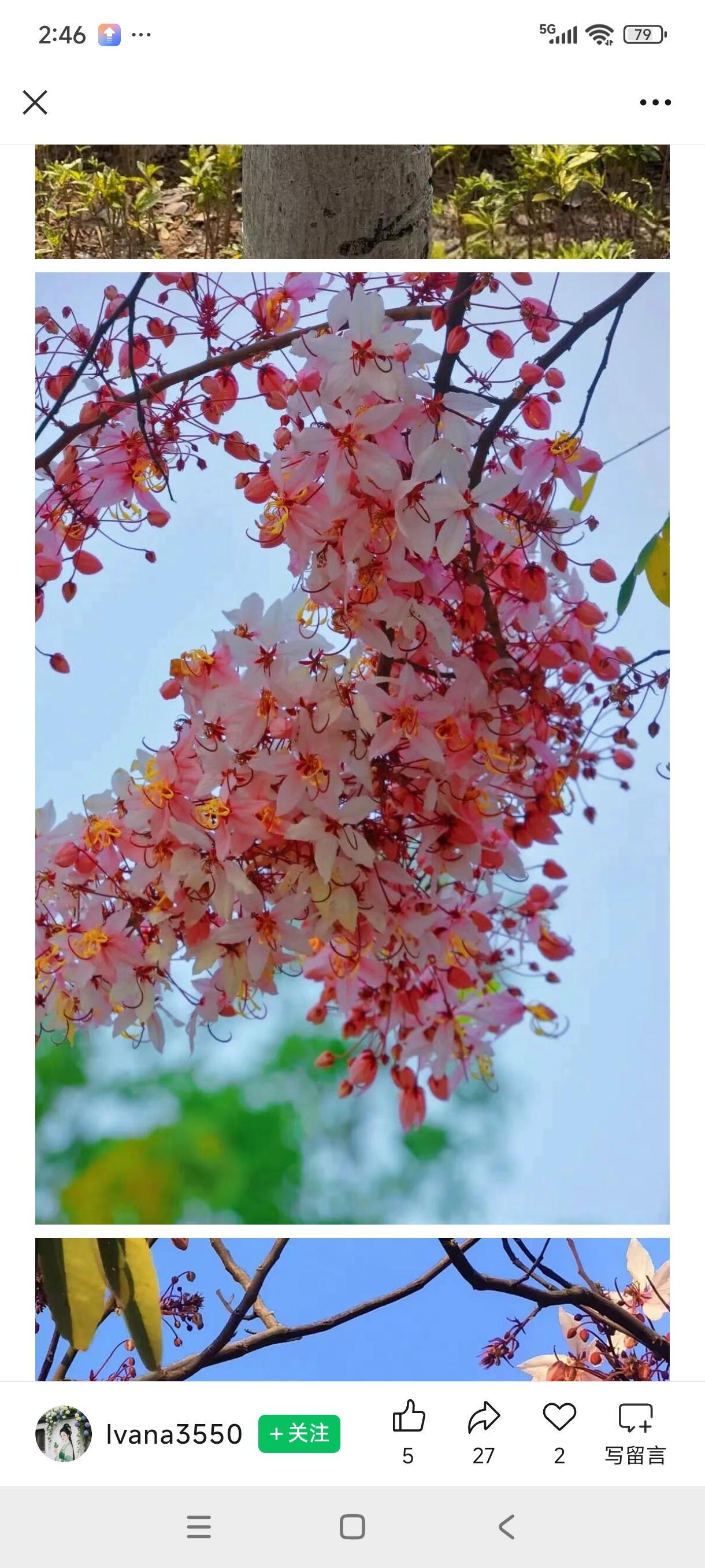 今天说一说普通话的不和广州白话的唔，普通话有不行，不要，不好，不知道，不想，不愿