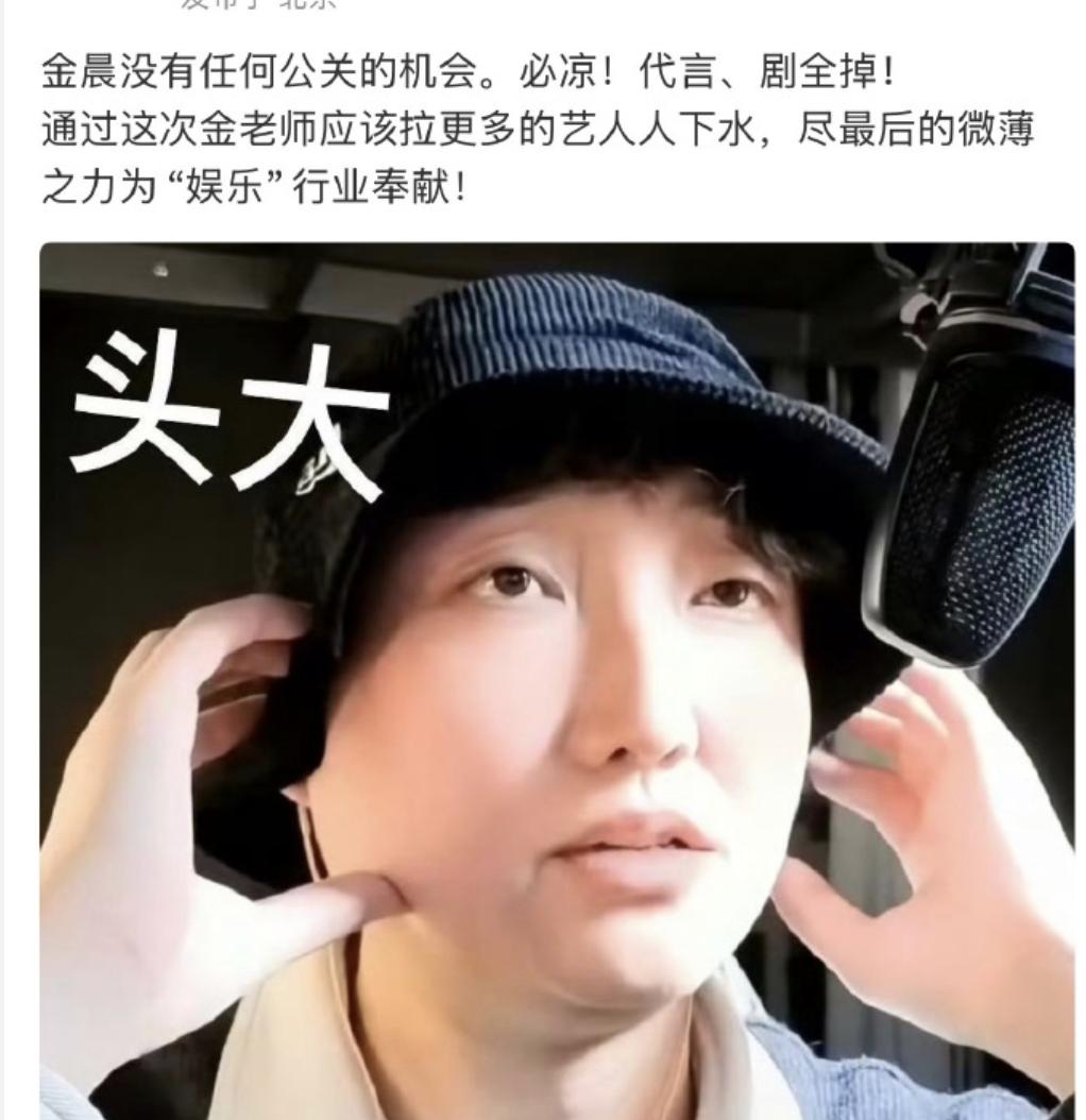 金晨肇事逃逸还指使助理顶包这件事，其实我觉得挺看不懂的。

撞车了，该赔钱赔钱，