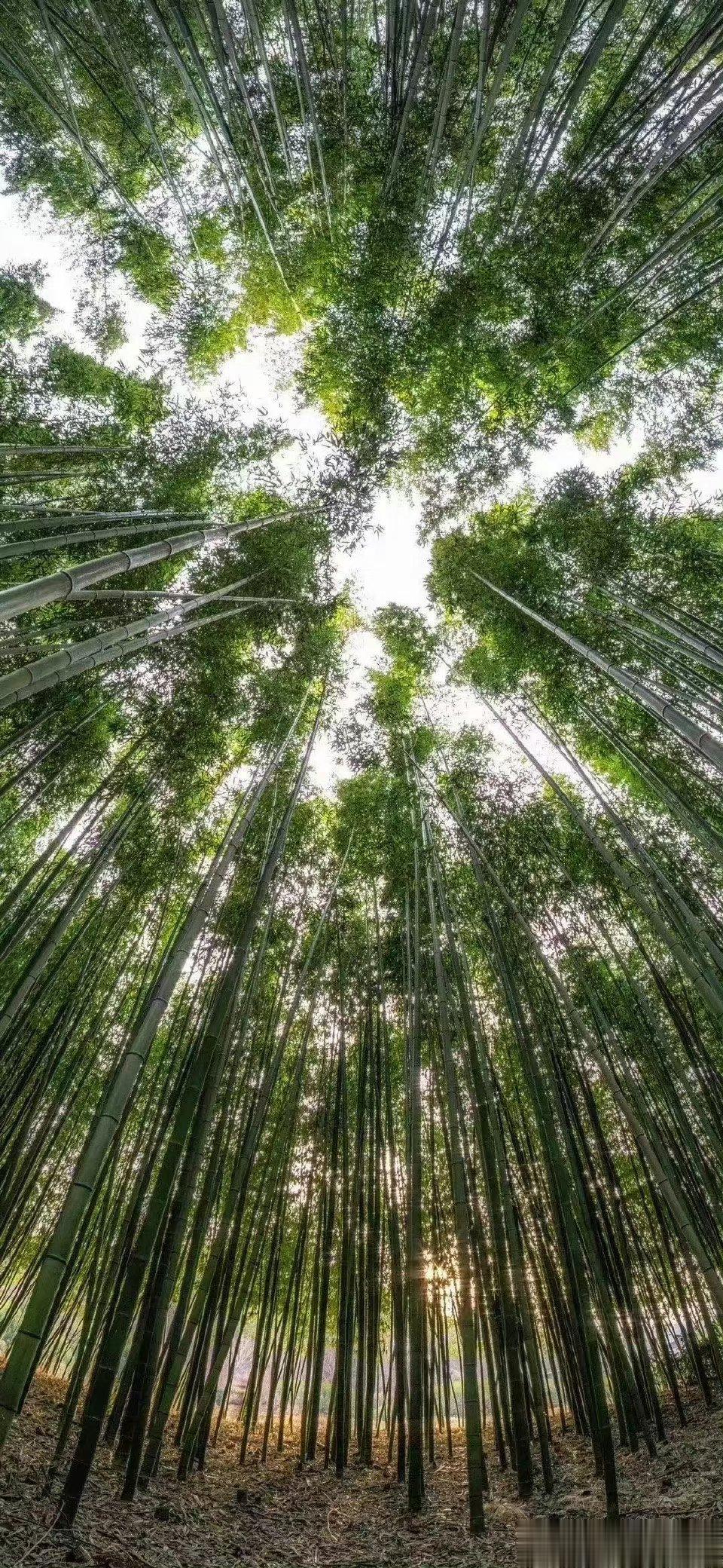 好事不断​节节高[666][666][666] ​​​