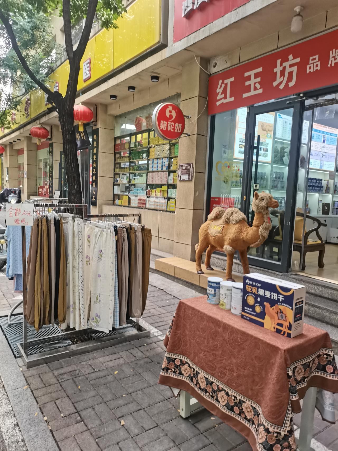 我天天往迎泽公园牡丹园去唱歌，返程时总习惯绕中医院这条街走，碰到合心意的吃食、用