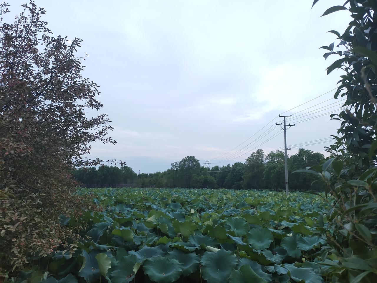 现在村支书一个月能拿4000多块钱的工资，这待遇真是不错
朋友的舅舅在河南老家村