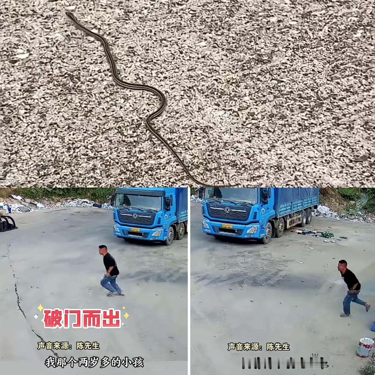 全网最有担当的男人！男子在厕所蹲坑，突然听到妻子惨叫，提起裤子破门而出奔向妻子…