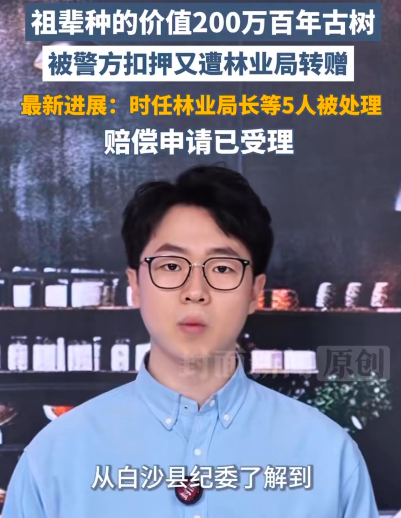 “这和抢有啥区别？”海南，女子家有棵祖传的百年古树，被人估价207万，不曾想，被